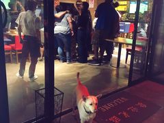 -Cactus墨西哥仙人掌餐厅