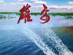 -白洋淀景区