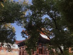 -宝通禅寺
