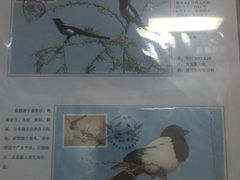 -宁夏邮政博物馆