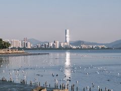 -深圳湾公园(南山区)