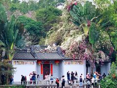 -深圳国际园林花卉博览园