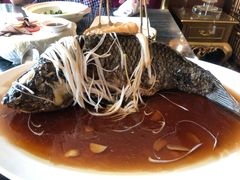 罾蹦鲤鱼-津菜典藏河西店(水上店)