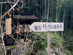 -林坑古村落