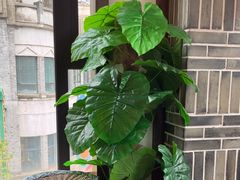 -杨记隆府(白象街店)