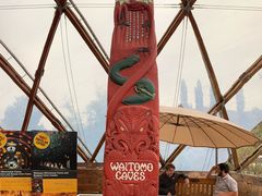 -怀托摩萤火虫洞