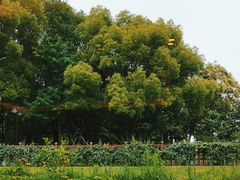 -潮府馆·非遗潮州菜·港式点心(世纪公园店)