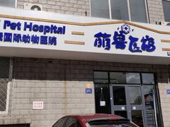 -萌兽医馆·绝育·24小时内科·宠物医院(德胜店)