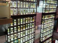 -广东中医药博物馆