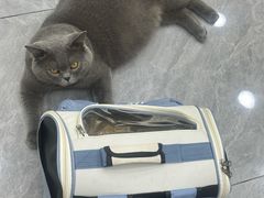 -爱洗澡的猫(天河路店)