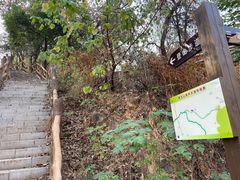 -青龙山国家森林公园