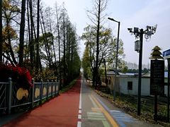 -上海长兴岛郊野公园