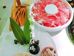 -洪氏嗨捞·广东猪肚鸡·椰子鸡火锅(西咸万象城店)