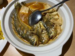 -船歌·鱼水饺青岛菜(国贸商城店)