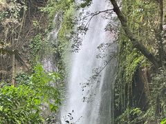 -莫里热带雨林景区