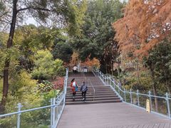 -福道