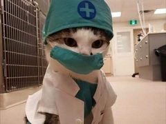 -宠颐生宠物医院·心肾内科·猫专科诊疗中心宠巢店
