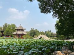 -莲池书院博物馆