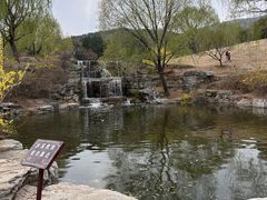 -北京西山国家森林公园