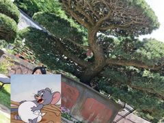 -哈尔滨北方森林动物园
