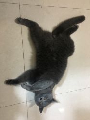 点击看大图 -一笔绣狂草美甲坊