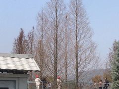-无锡梅园公园