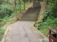 -凤栖山