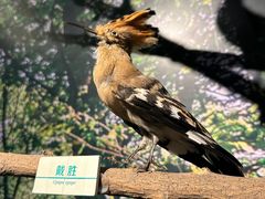 -北京麋鹿生态实验中心