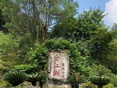 -广州白江湖森林公园