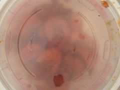 -廖记棒棒鸡(江汉路店)