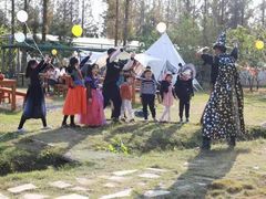 -前小桔亲子创意农场·草莓采摘·露营烧烤