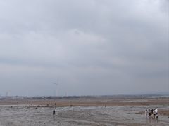 -仙人岛