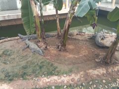 -石家庄市动物园