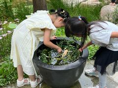 -云溪植物园