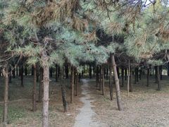 -北坞公园