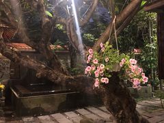 -Lam Vien Restaurant