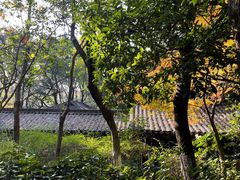 -杭州半山国家森林公园