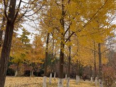 -绿堤公园