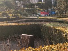-黄村公园