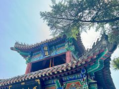 -洛阳白马寺