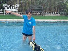 -汪说喵讲宠物乐园宠物酒店(红星美凯龙店)