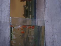 -东钱湖旅游度假区