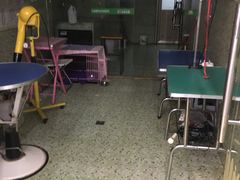 -瑞鹏宠物医院·骨科·猫科·内科(第一中心)