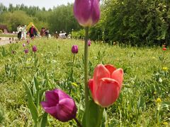 -长春公园(普阳街道)