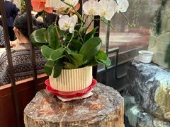 -燕春楼(海河华鼎店)