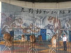 -新疆天山野生动物园