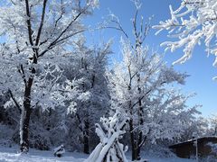 -中旅松花湖滑雪场