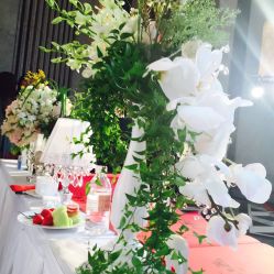 -M'S BANQUET AND SPACE ART