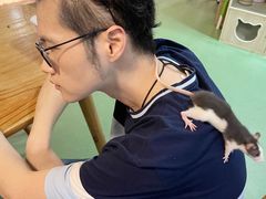 -藦茜花园宠物主题亲子互动体验馆(国顺东路店)