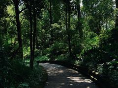 -成都市活水公园